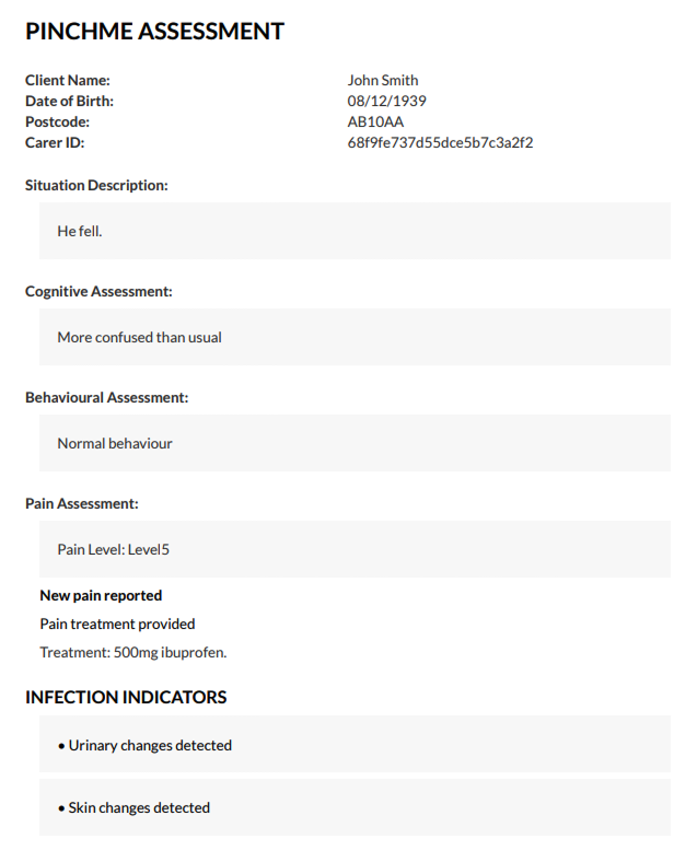 CareBoodle Assessment PDF Summary